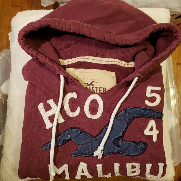 Throwback Hollister Hoodie - Picture 1 of 1